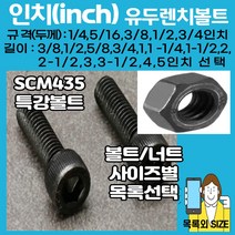 볼트가게 인치 유두렌치볼트; 5/16-1과1/4인치 특강인치볼트, 1개