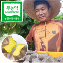 월출산자락 땅끝 유황먹은 열매마 하늘마, 1kg