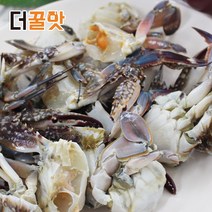 더꿀맛 서해안 손질꽃게 1kg 절단된 100% 양념게장용, 절단꽃게 1kg
