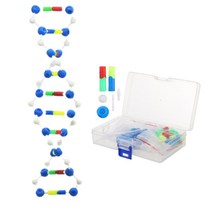자기복제 과학실습 나선구조 DNA 모형 조립 세포 방과후 관찰수업 호기심 교육기관