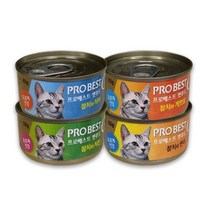 프로베스트 캣푸드 고양이 간식캔, 참치 + 치킨 혼합맛, 40개