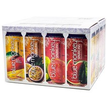 블루몽키 스파클링 주스 330ml x 16