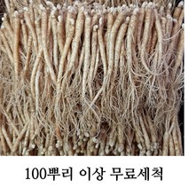 삼계탕용 갈비탕용 작은 실삼계 무료세척 실속형 100뿌리이상, 실삼계500g(100-140뿌리), (세척원하지않아요X)