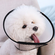 강아지넥카라/1호-7호/강아지 넥카라/애완용품/애견용품/애완 목보호대/상처보호용넥카라, 2호