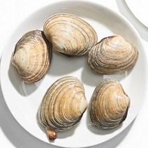 삼삼 거제도 자연산 개조개1kg(6~8미내외), 단품