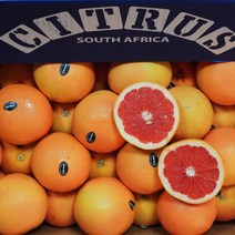 남아공 레드자몽 50입 (중과320g내외 50과)