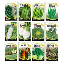 오이씨앗 아삭한 주렁주렁 미니 청스낵오이 노각 백다다기 종자 씨앗몰 봄 재배 키우기 심기 텃밭가꾸기 웰빙 쌈채소 궁채나물 줄기상추 씨앗, 흰작두콩 10립 (비넝쿨)
