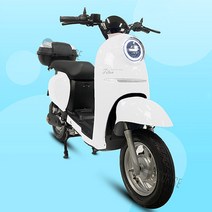 전기스쿠터 전동스쿠터 타이탄스쿠터1200 클래식스쿠터 에코드라이브 60V 50Ah 보험가입가능, 화이트, 30ah