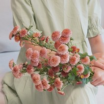 [계절의꽃] 피치팡팡 소국 미니퐁퐁국화 1단 생화 농장직송 꽃배달