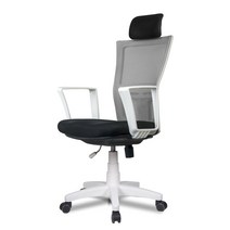 DY-chair 아슬란 요추받침형 메쉬 3종/6컬러 학생의자, 아슬란 화이트바디, 헤드, 그레이