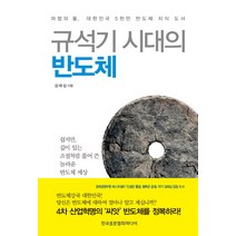 규석기 시대의 반도체:마법의 돌 대한민국 5천만 반도체 지식 도서, 한국표준협회미디어