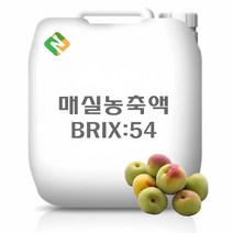 매실농축액 20kg, 단품