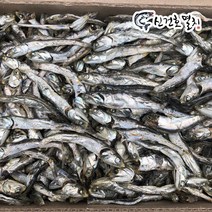 신건호멸치 국물용 햇 다시멸치(특품) / 대멸치 육수용멸치, 1box, 1.5KG