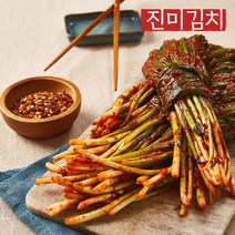 [진미김치] 전라도 파김치, 4kg, 1개