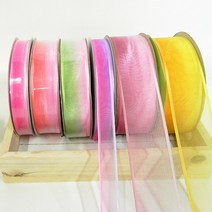 리본벨리 낚시오간디투톤리본 5개랜덤색상패키지 16mm 26mm 36mm, 5개랜덤색상