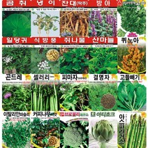 각종 민속 채소 특수 씨앗 모음 도라지 더덕 냉이 산마늘 고수 곰취 나물 약초 씨 종자 모음, 1개