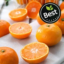 타이백 제주 서귀포 노지감귤 4.5kg 9kg, 타이백 노지감귤 9kg 로얄과/S-M