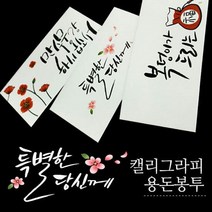 [KT알파쇼핑]미니아트 캘리그라피 용돈 봉투 어버이날 감사 돈 현금 봉투, S101_치킨열번포기