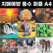 치매예방 복들어오는 풍수 퍼즐 A4 10종, 상품11.10종 풍수 A4 퍼즐세트 할인구매
