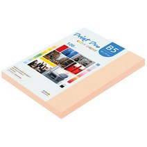 종이문화 프린트프로 칼라복사지 B5 120g No.26 피치 110매