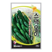 모칸도 세계종묘 열매채소씨앗 스낵오이 30립
