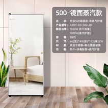 미니스타일러 접이식 스팀 건조기 옷걸이 자취, 500L-뉴미러[스팀케어+퀵드라이+트리플살균]