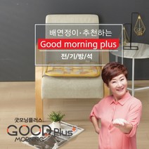 한일온돌1인용 전자파없는 방석전자방석, 싱글