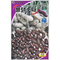 찰옥수수 얼룩이 강낭콩 서리태 땅콩 호랑이콩 녹두 히카마 씨앗 종자, 8.블랙스타 흑땅콩 50립