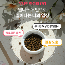 여성 꿀잠과 건강을 위한 위드슬립 웰니스 우먼 100g (소환), 1통