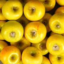 참파머스 황금사과 시나노골드 황옥사과 노란사과 정품 가정용 못난이 흠집 사과 3kg 5kg, 골드 흠과-한입 2kg(14-16)