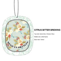 차량용 종이방향제 리틀트리 자동차 향수 시트 고체 보석 탈취제 종이 걸이 액세서리, 03 4pcs