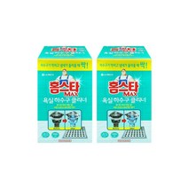 홈스타 맥스 욕실바닥 하수구 클리너 x 2개, 홈스타 맥스 욕실바닥 하수구 클