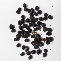 쉬나무씨앗10g(500립)