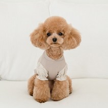 [갤러리아] 꼴레트멍멍스윗 퍼프 강아지맨투맨 마이리틀독, 브라운