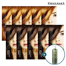 진주펄 염색약 스페셜 10개세트+알로에클렌징폼 500ml, 흑갈색2호 5개/밝은황갈색6호 5개