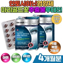 포도씨추출물 빌베리 루테인 눈건강 안토시아닌영양제 하루한알 눈침침 황반색소 밀도 유지 마리골드꽃 블루베리 안토시안 대두레시틴 밀납 비타민 미네랄 보충 건강보조식품