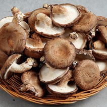 하회 생표고버섯 파지 1kg, 단품