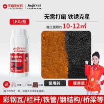 녹 환원제 녹제거 프라이머 1+1 제거제 금속 철 볼트 자동차 방청 전환제 수성프라이머 러스트, 1KG (브러쉬제공)