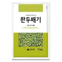 1170. 완두배기 - 대두 500g