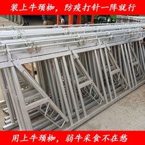 자동 소목걸이 개체잠금장치 목걸이 가축 목클램프 축사 축산자재 3m 3자리