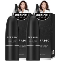 테라픽 헤어 리-터치 커버스틱 8g, 블랙, 2개