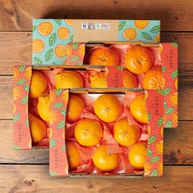 (롯데백화점)제주 한라봉1.6kg 6-9과+천혜향1.6kg 6-9과+레드향1.6kg 6-9과 과일선물세트