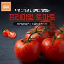고씨네 특급 흙토마토5kg 토마토 국산토마토 도마토방울토마토 대추방울토마토 토마토 토마토효능 토마토주스 단토마토 대저토마토 설탕토마토 짭짤이토마토 흑토마토, 본상품, 단품