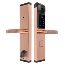도어락 RAYKUBE 생체 인식 지문 전자 도어록 스마트 디지털 암호 잠금 장치 4 In 1 Keyless Entry R-FZ3, 협동사, 레드 브론즈