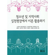 청소년 및 지역사회 실천현장에서 이론 활용하기, 신정