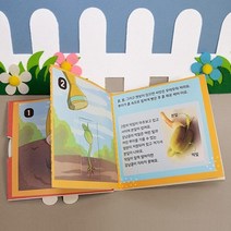 유치원 강낭콩 한살이 학습 북아트놀이 어린이집 DIY북 초등만들기 미술완구 미니북만들기