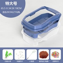 육지 소라게 거북이 키우기 도둑게 사육장, [로열 블루] 특대형 나항아리개