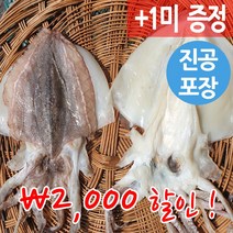 청정 반건조 갑오징어 25-40cm 군산 직송, 소, 1개