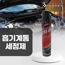 철공자닷컴 흡기계통 세척제 FC-40 스로틀바디 엔진룸 청소 가솔린 흡기 크리닝 캬브레타 카브레타 카본 청소, 분사기형 2개입 EA
