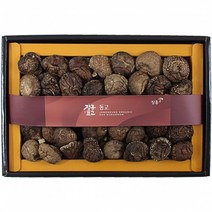 정남진 장흥 표고버섯 동고 300g세트 쇼핑백포장